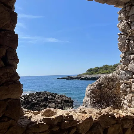 Floor Secret Garden, Daire Cannes