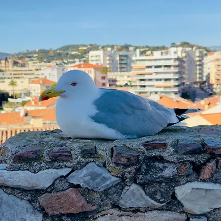 Floor Secret Garden, * Cannes