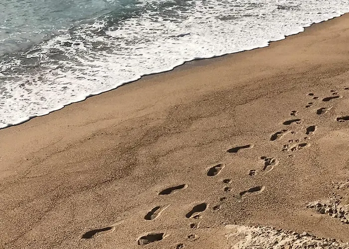 Apartman Floor Secret Garden,